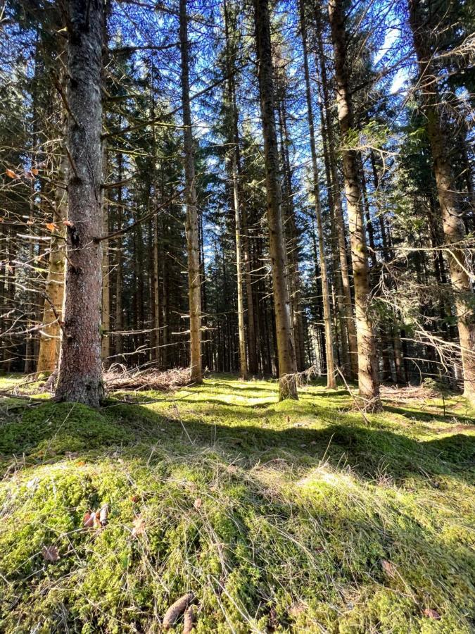 فيلا Haus Im Schwarzwald لينزكريش المظهر الخارجي الصورة