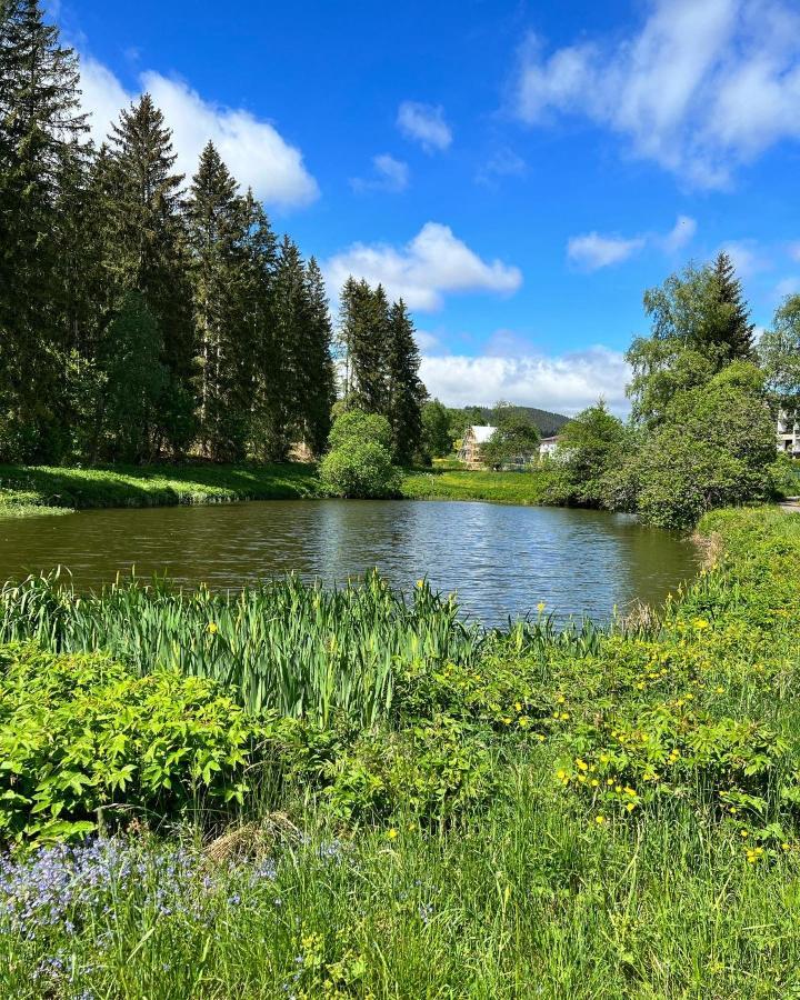 فيلا Haus Im Schwarzwald لينزكريش المظهر الخارجي الصورة
