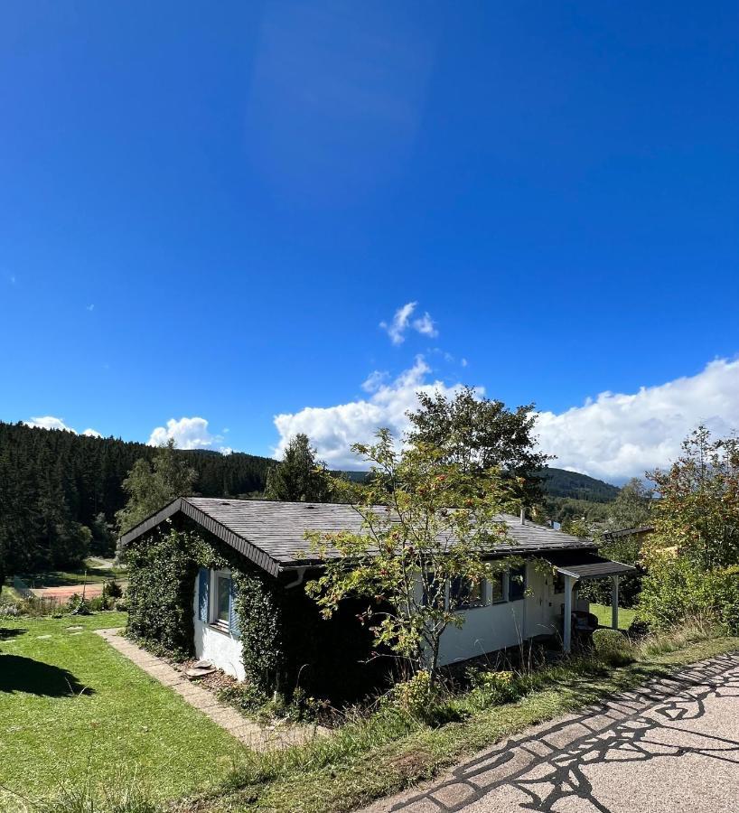فيلا Haus Im Schwarzwald لينزكريش المظهر الخارجي الصورة